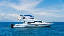 Full Day Private Harbour Cruise in Denpasar Bali