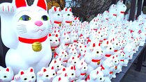 Gotokuji Temple Walking Tour with Numerous cat statues
