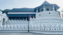 Kandy, Ambuluwawa and Tea Museum Tour from Colombo