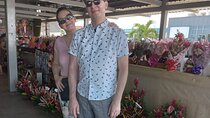 Half Day Nadi Tour Temple, Market, Gardens and Mud Pools