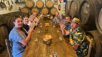 Sun and Wine Route - Small group, wine tasting and tapas included