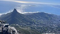 Cape Town Private Tour by Cable Car and Car