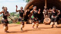 Tala Game Reserve, Phezulu Safari and Victoria Market from Durban