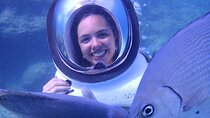 Seawalker in Santa Marta