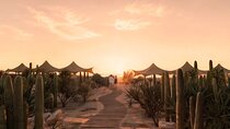 All inclusive Beach and Kids Adventure Park Experience