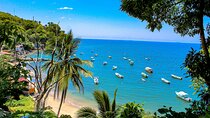 Tour Yelapa and Majahuitas with Lunch and Open Bar