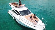 Cabo Snorkeling Private Whale Watching Tours