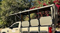 Full day Safari Game Drive. 