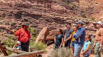 Moab Afternoon Half Day Jeep Tour 