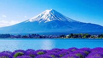 Mt.Fuji Arakurayama Sengen Park,Oshino Hakkai,Kawaguchi Lake Tour