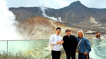 Hakone Scenic Adventure Nature and Tranquil Journey 