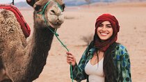  Camel ride & pool with breakfast in Agafay Desert from Marrakech