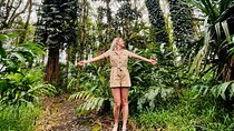Tropical Forest Therapy Walk