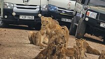 Nairobi National Park –A Safari Adventure at the Edge of the City