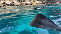 Nerja: Rent a Kayak/Paddle board to go to the cliffs and Maro.