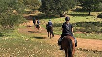 2-Hour Horse Riding Adventure with Delicious Lunch – Agadir