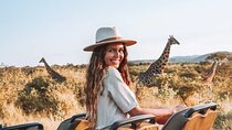 2 Day South African Wildlife Tour with 4x4 Safari from Cape Town