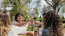 Familia Torres Winery: Gastronomic Tapas & Wine Experience