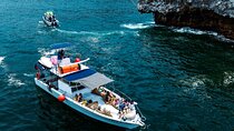 Famous Pato Bobo Adventure Boat