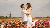 Tulip Fields Photoshoot & Tour near Amsterdam