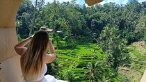 Discover Magical Ubud by Day Tour 