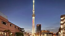 Private Tokyo Night Tour 
