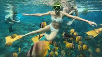 Nusa Penida Highlight: Snorkeling & West Side Adventure 