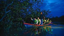 Enchanting Evenings: Fireflies & Blue Tears Tour with Dinner