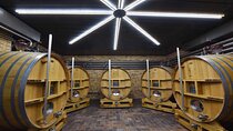 Half day private group tasting Champagne Domaine Coutant