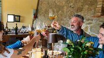 San Gimignano & Vineyard Wine Tasting in Tuscan Hills