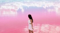 Las coloradas and rio lagartos full day tour