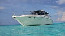 Nauti Dreams Private Boat Charter 