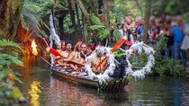 Mitai Maori Village Night and Polynesian Spa Day Tour Auckland