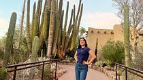 Fun Night Out! Desert Botanical Garden: Dinner & Walking Tour. 