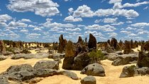 Pinnacles Day Tour