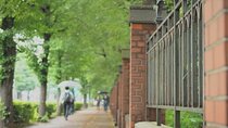 Explore Japan’s Oldest University by a Walking Tour