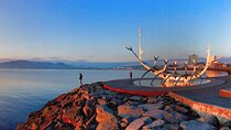 Surprise Walk of Reykjavik with a Local