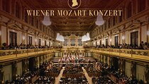 Vienna Mozart VIP Package: Concert, Dinner and Carriage Ride
