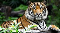 The Maharaja Trail : 5 Days Delhi, Agra, Ranthambhore, Jaipur 