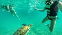 Explore Akumal: Private transportation and Turtle Swim Adventure 