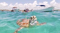 Private Akumal Turtles Cenote and Local Food Tour