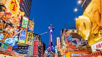 Kyoto and Nara Private Customizable Day Trip by Luxury Car