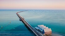 2 Day Busselton& Margaret River Dolphin Watching& Stargazing Tour