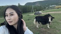 Meet the Mongolia's Yak Herders: All inclusive trip near UB