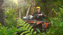 Bali Quad Bike Adventure - Monkey Forest- and Waterfall