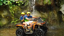 Bali ATV Quad Bike Monkey Forest Jungle Swing with Lunch