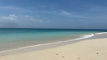 Perfect Island + Amazing snorkeling with turtles near Panama City