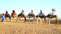 Agafay Desert Marrakech Dinner with Show And Camel Ride