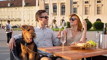 Vienna Wine Tasting Experience in a Classic Oldtimer