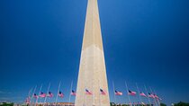 DC Sightseeing Tour
